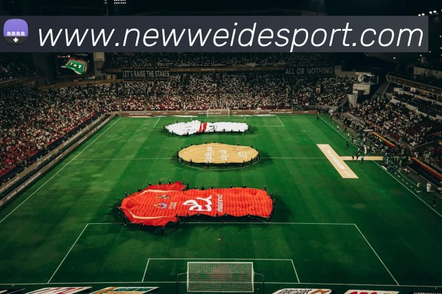 多媒体互动体验