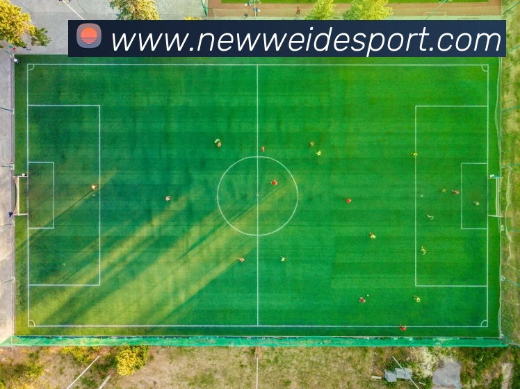 伟德体育APP 体育赛事宣传图